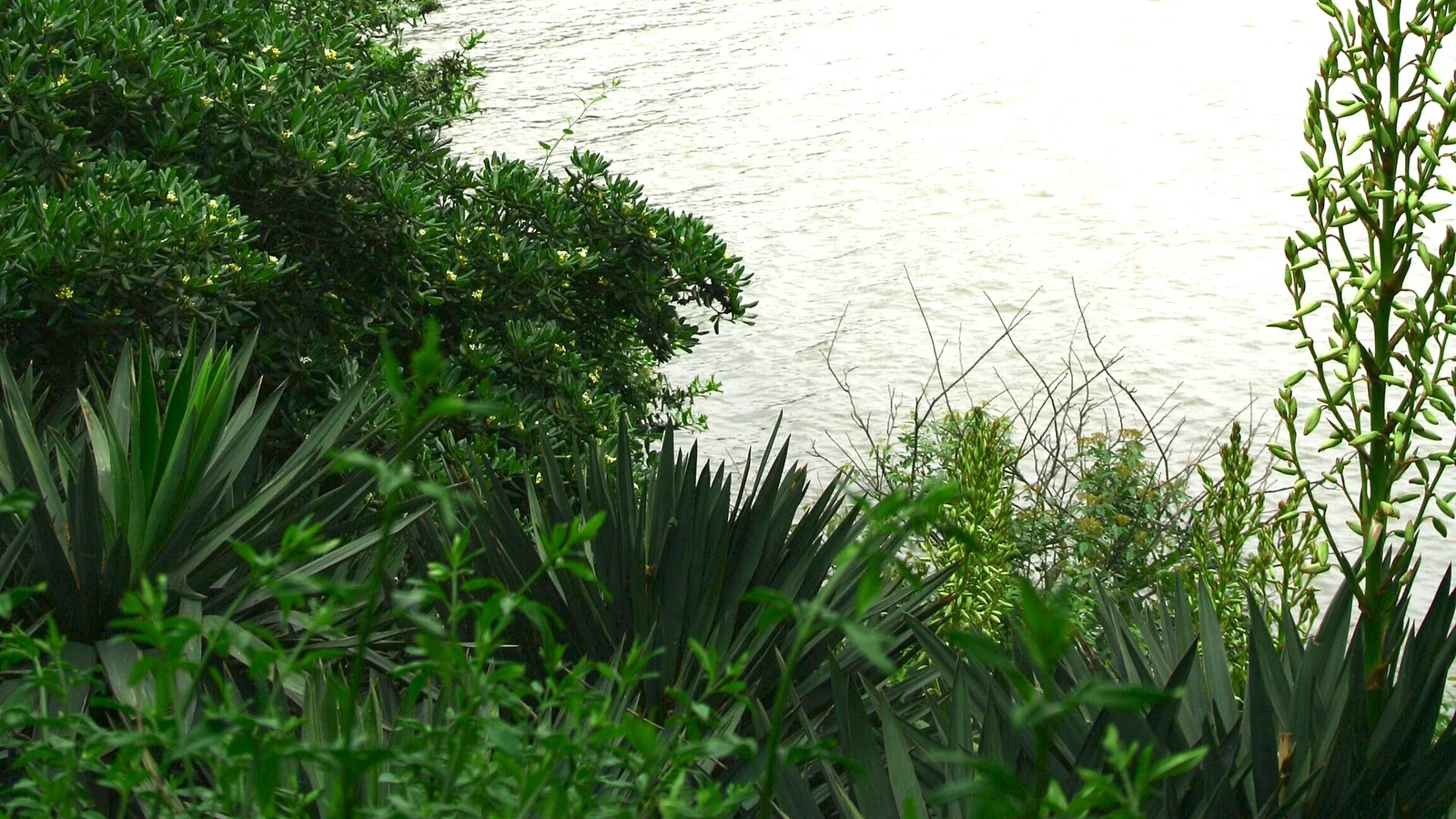 Lake Tai in Huzhou