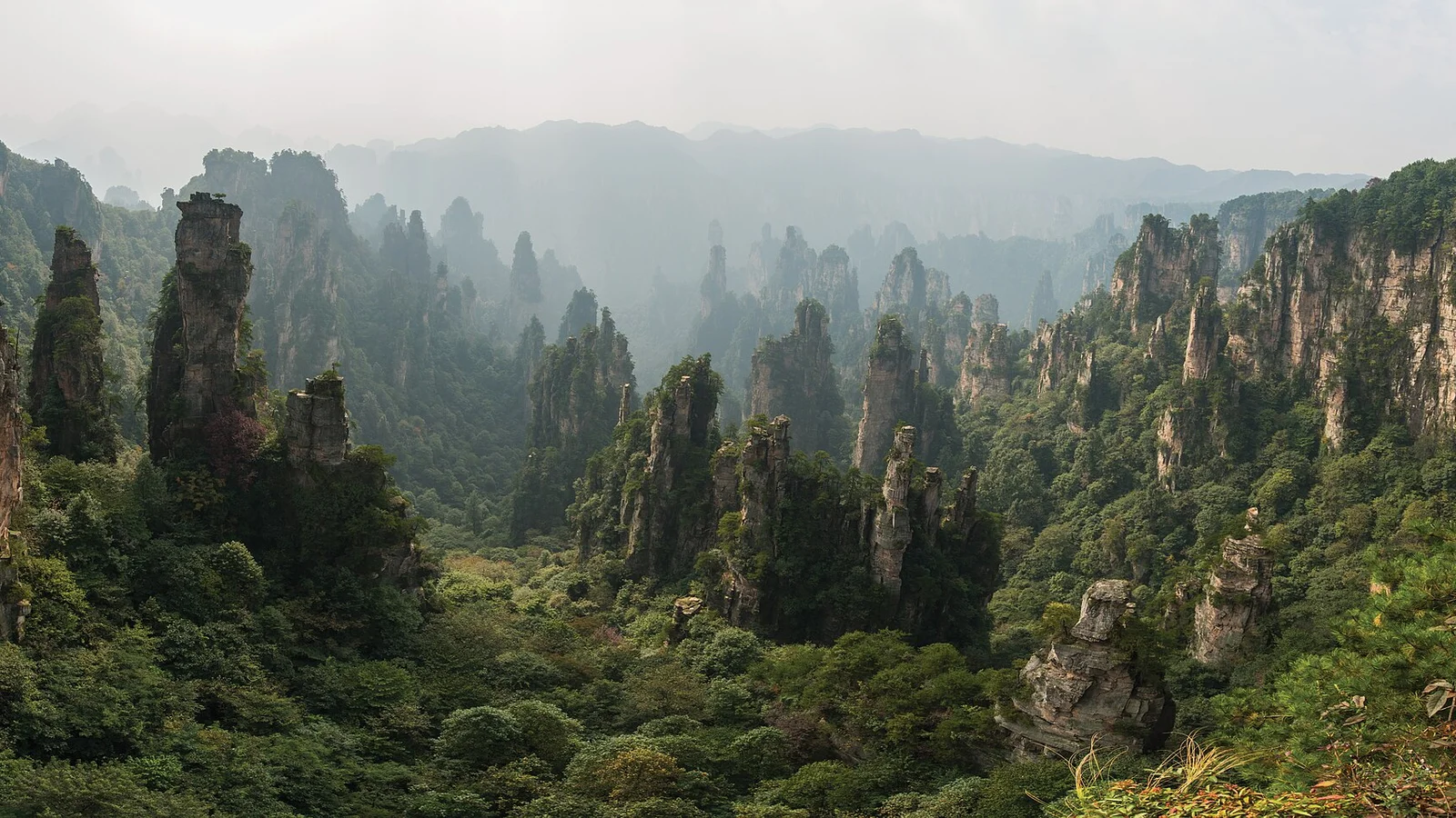 Pillar landscape in Zhangjiajie